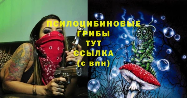 прущий лед Армянск